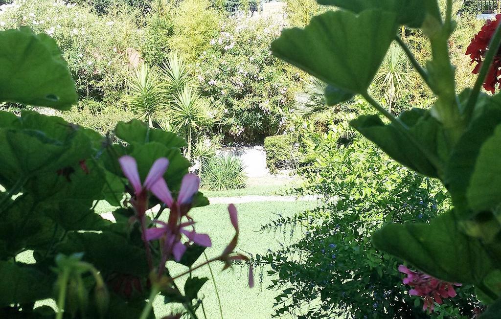 Casa Per Ferie Cardinal G. Guarino Bed & Breakfast Rome Exterior photo